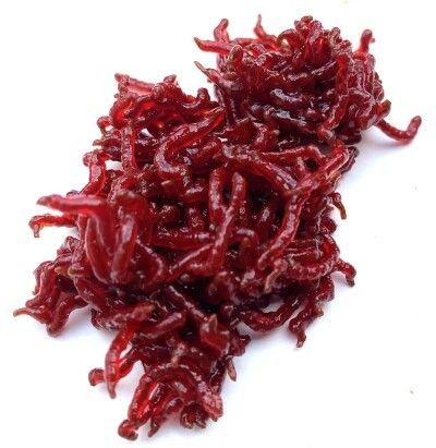 Съедобная белковая приманка Мотыль 30гр.